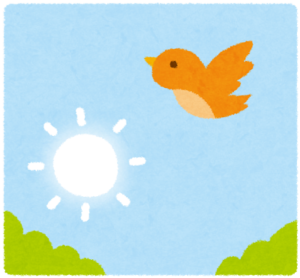 太陽と鳥
