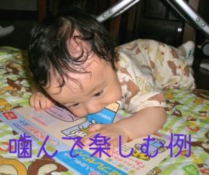 本を噛む赤ちゃん